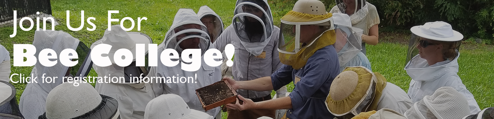 Bee College Banner